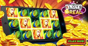 79m cá cược bóng đá trực tuyến